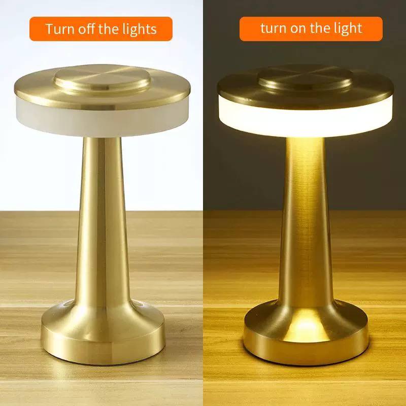 Modern decorative lampshade | RT029