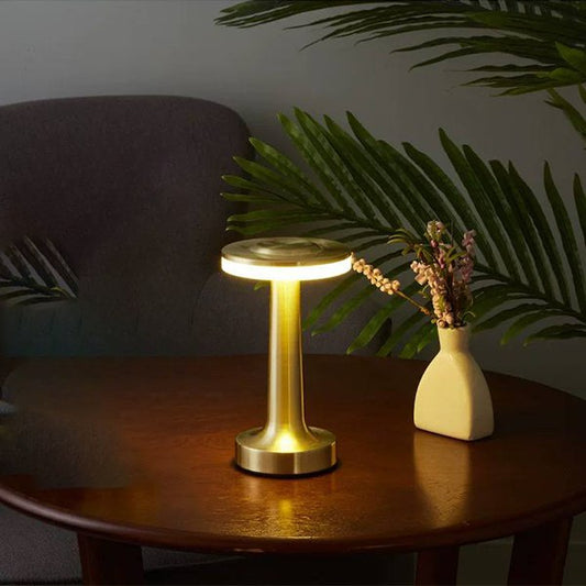 Modern decorative lampshade | RT029